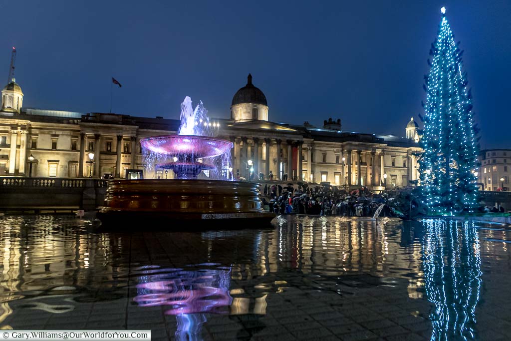 The illuminated Christmas Tree reflected in a fountain in London's Trafalgar Square at night
