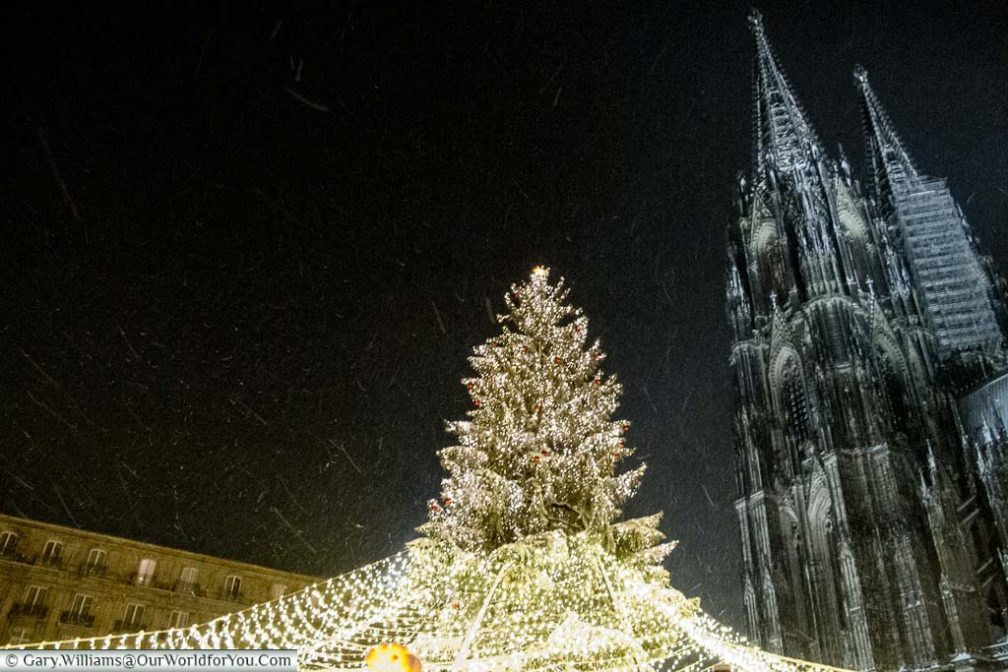 Looking up at night to Cologne's main Christmas tree blanketed in fairy lights next to the twin spires of the Dom as it snows.