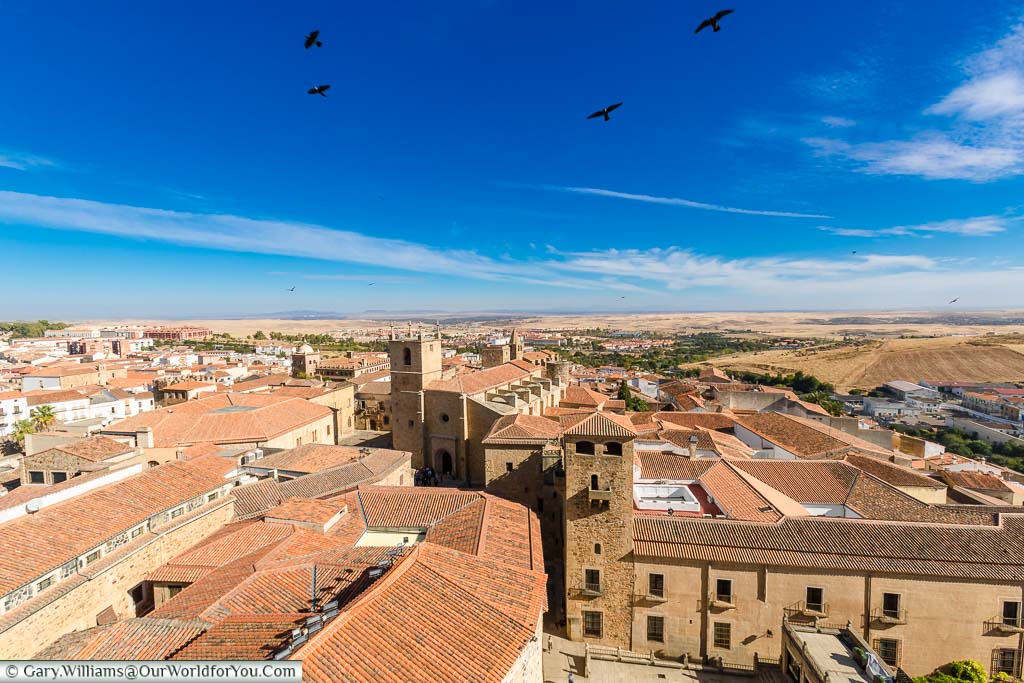 The view over Cáceres roof tops from a church tower.