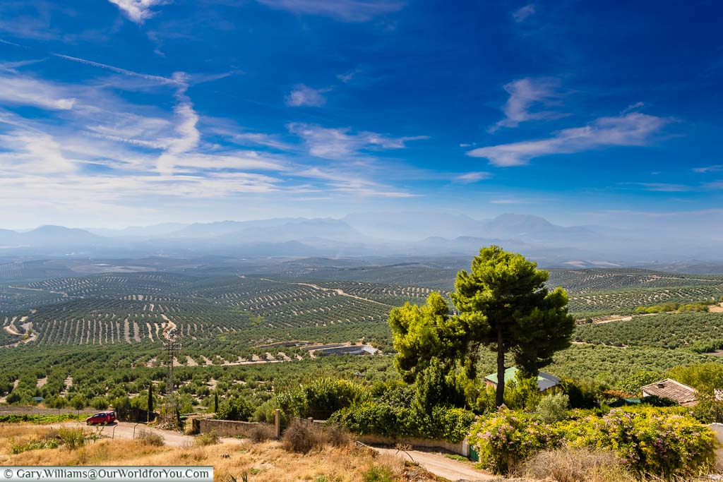 Looking from a viewpoint in Úbeda, over the vast landscape of olive groves, under a whispy blue sky, with mist hanging in front of the mountains in the distance.