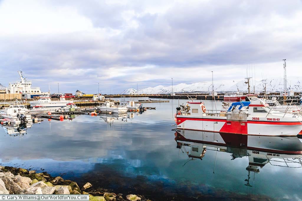 Small boats moored up in the clear waters of Dalvik harbour, Iceland