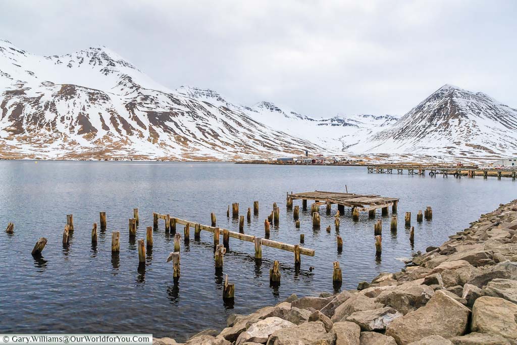 The remains of a wooden jetty in the bay at Siglufjörður against a backdrop of snow-covered mountains in Northern Iceland