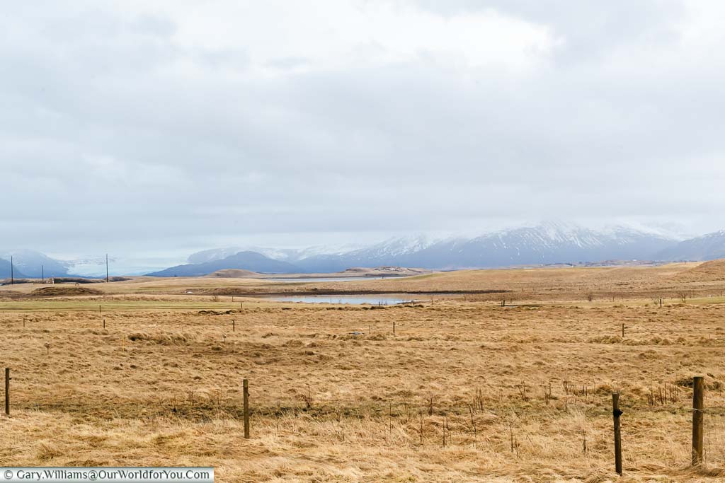 The view across golden grassy fields to dark, snow-covered mountains and a glacier from the Milk Hotel in Höfn, Iceland