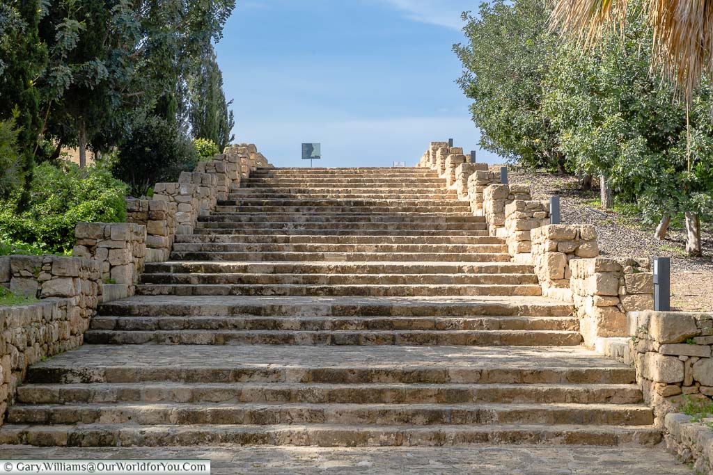An wide set of steps, between palm trees, leading up to the Nea Pafos Archaeological Site