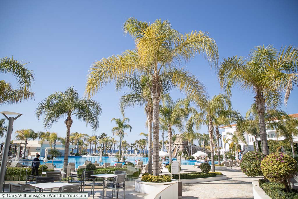 The Olympic Lagoon Resort Paphos pool area, lined with palm trees under a clear blue sky.