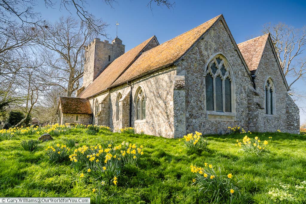 Daffodils in bloom in front of the medieval St Augustine's Church, Snave, on the Romney Marshes in Kent