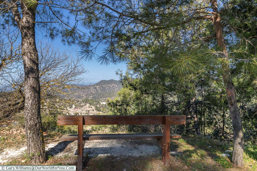 A bench between two pine trees offering views across the Paphos Forest in Cyprus