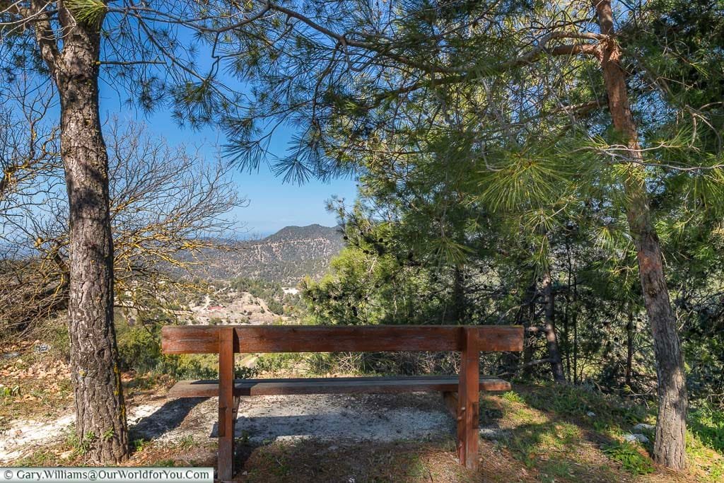 A bench between two pine trees offering views across the Paphos Forest in Cyprus