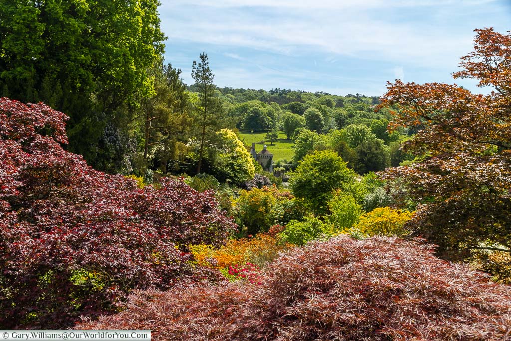 A view over the picturesque gardens full of mixed colours of deep red, vibrant oranges and lush greens at Scotney Castle in Kent