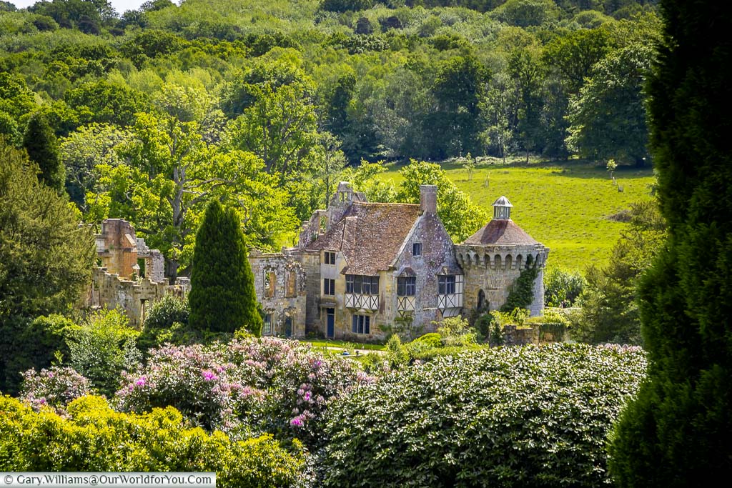 The ruins of old Scotney castle, set in the lush green Kentish landscape, framed by Rhododendrons