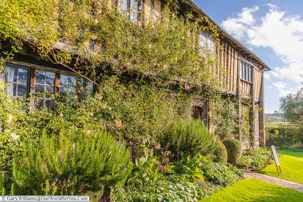 The entrance side to the 15th-century half-timbered Smallhythe Place, covered with a rambling rose and a cottage garden border on a bright day in Kent