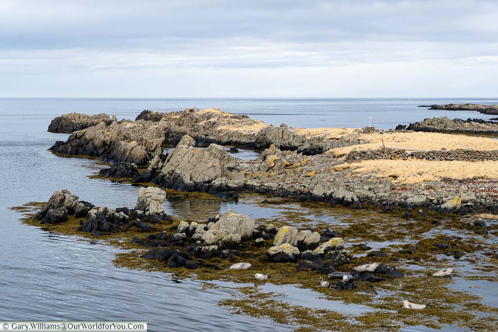 A wide shot rocky outcrop, with the sea heading out as far as the eye can see, the observant will spot a colony of seals resting on the rocks in the foreground.
