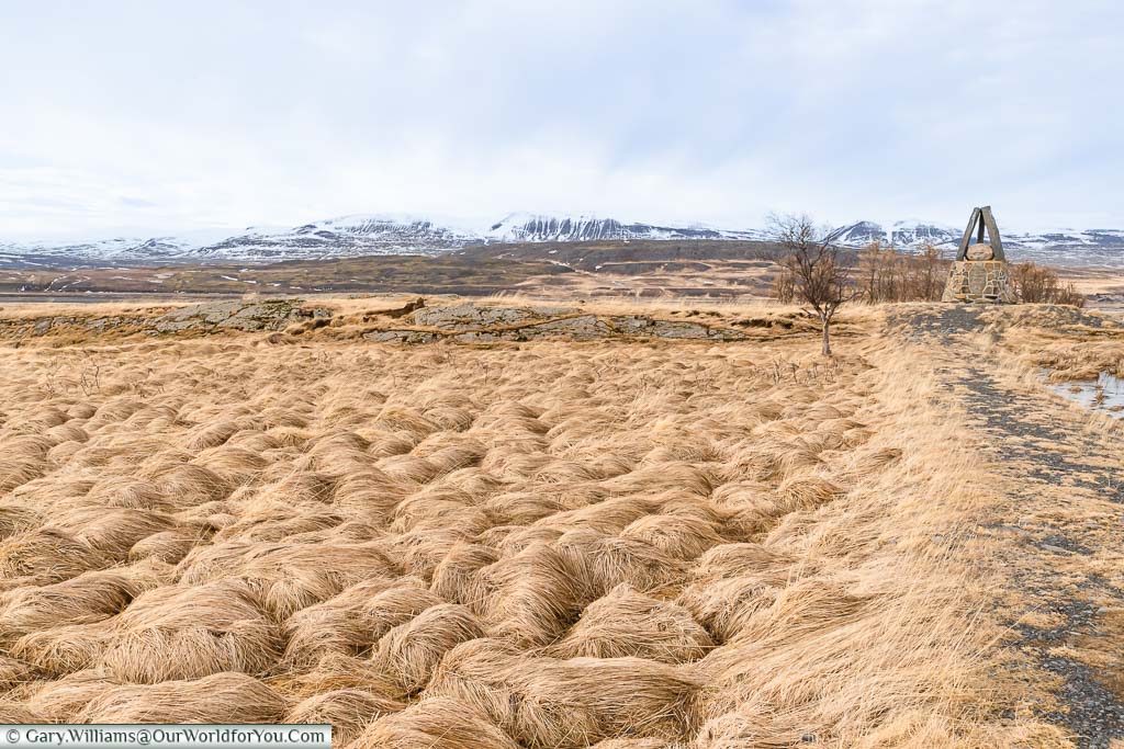 The dried grassy landscape of the Örlygsstaðir battlefield in the northwestern region of Iceland