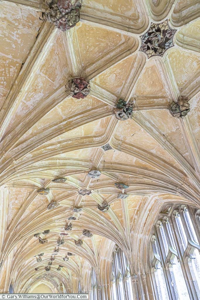 A close-up of the detail of the ceiling of Lacock Abbey cloisters