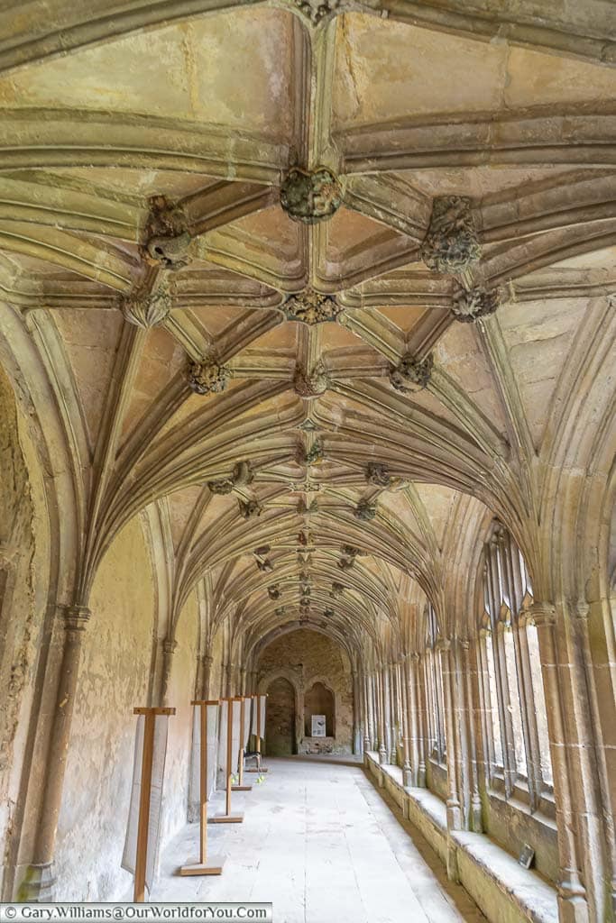 The narrow corridor of the cloisters at Lacock Abbey with its ornate fan ceiling.