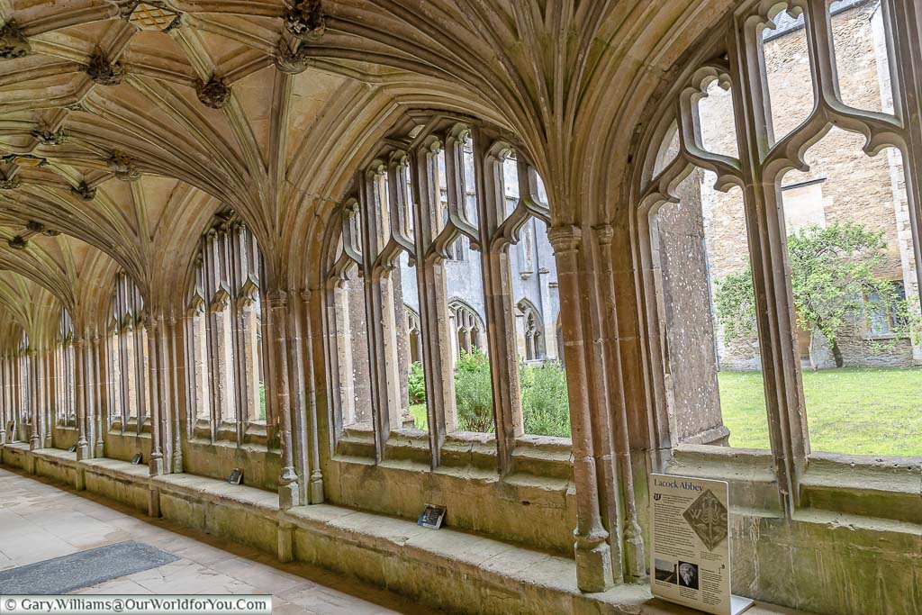 Looking through Lacock Abbey's cloisters windows to the inner garth