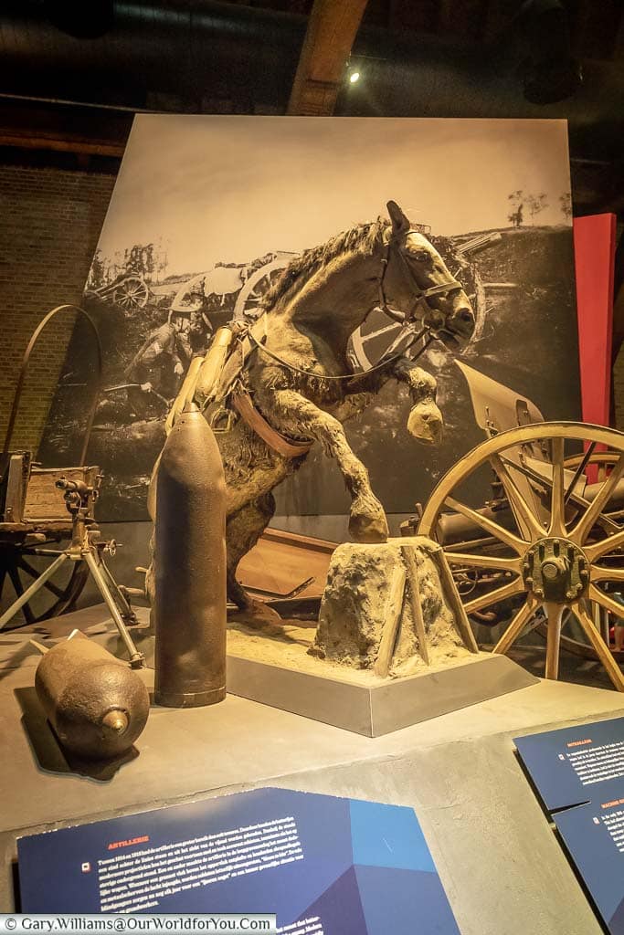A warhorse exhibit in the 'In Flanders Field Museum' in Ypres, Belgium