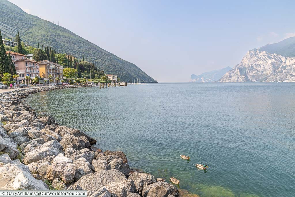 A view of Lake Garda, looking south from Trobole, with ducks in the foreground and flanked on either sides by the mountains.