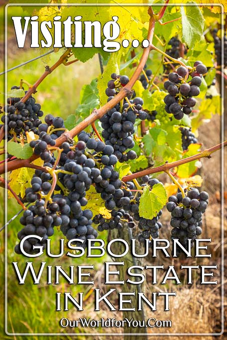 The Pin image of our Post - 'Visiting Gusbourne Estate winery, Kent'