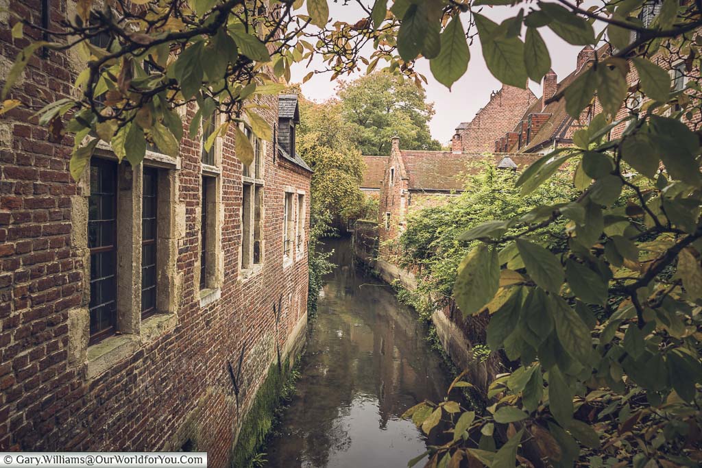 A waterway flowing between the red brick buildings of the Great Beguinage in the belgium city of leuven.