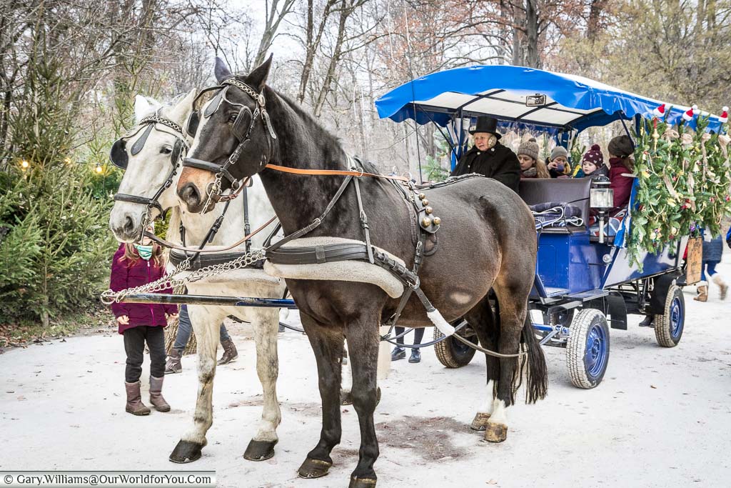 Two horses are pulling a small wooden carriage with tourists in Munich's park market.