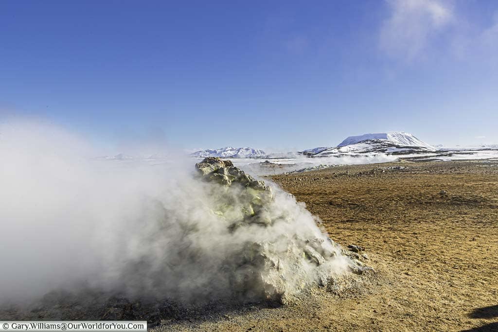 Steam erupting from a pile of rock at the geothermal park of Námafjall Hverir in Iceland