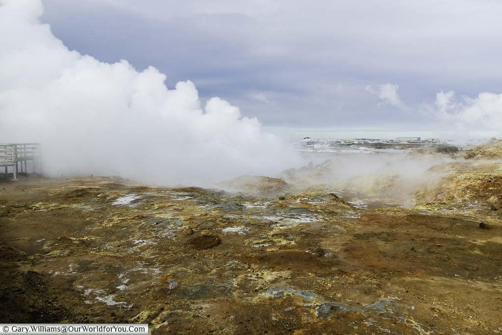 Steam billowing from an alien-looking landscape at the Gunnuhver Hot Springs in Iceland