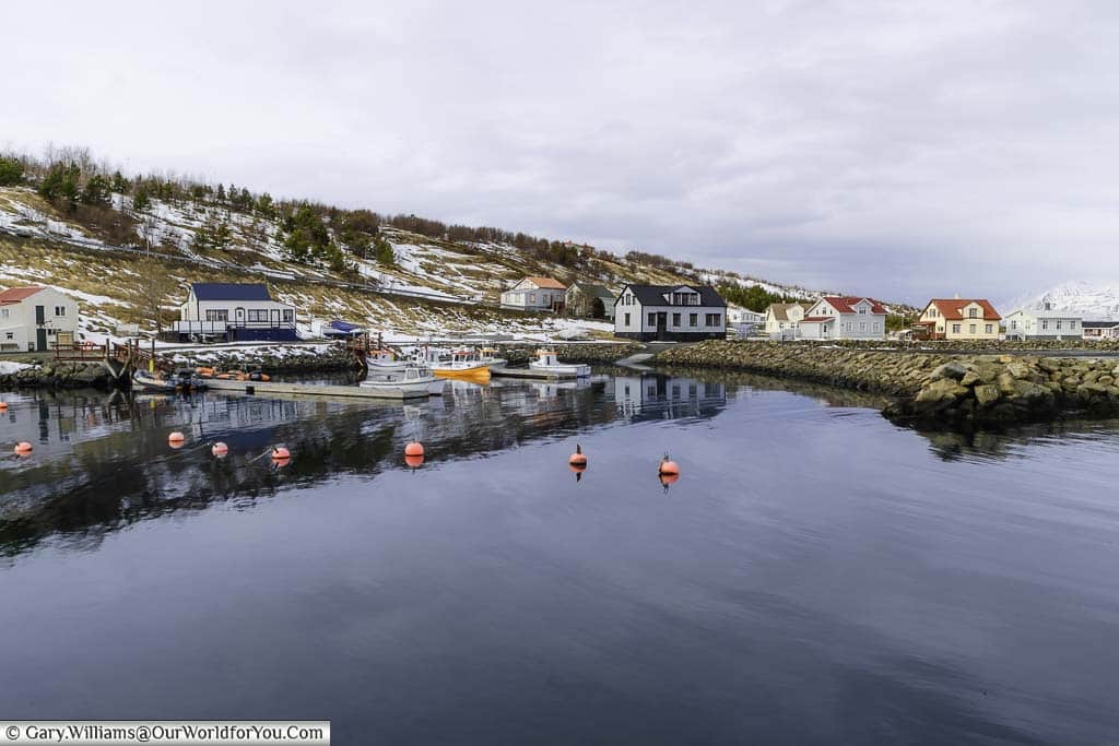 A collection of bright homes surrounding the tiny harbour at Hjalteyri in Iceland