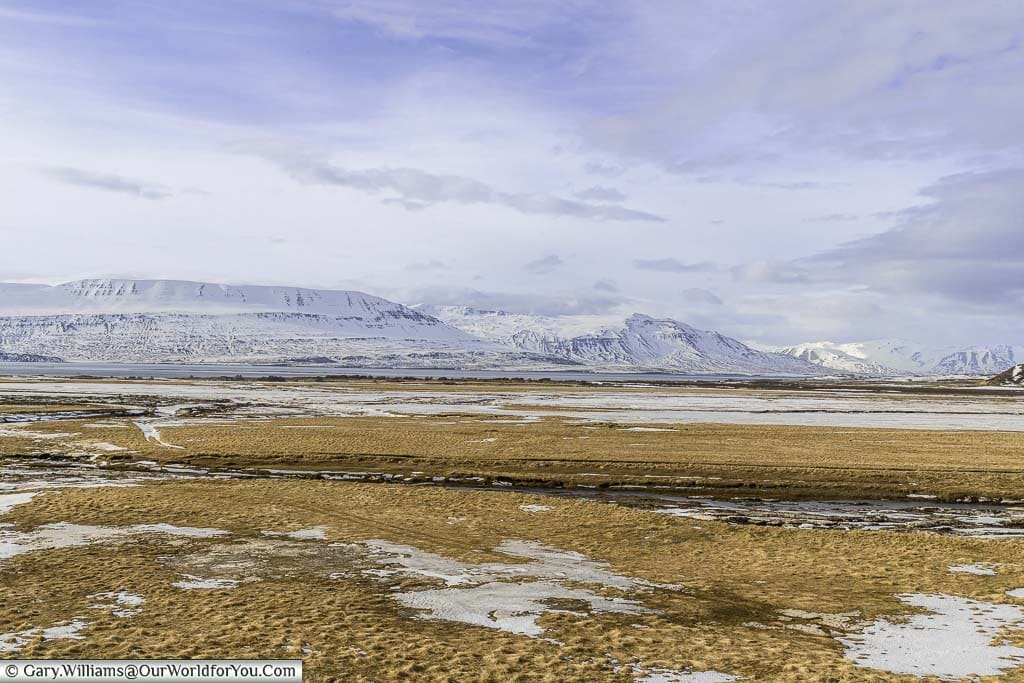 The landscape of Northern Iceland full of dried grasses against a backdrop of snow-covered mountains