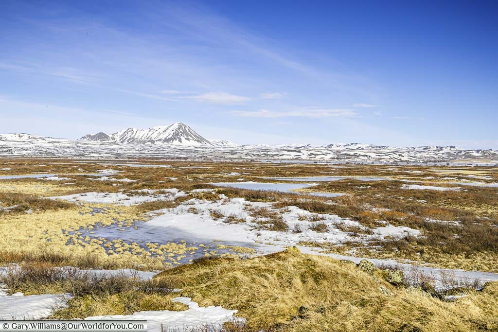 A view across the thawed grass that surrounds Lake Myvatn to the mountains in the background