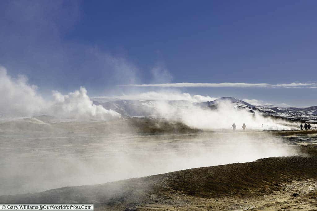Plumes of mist and steam rise from the volcanic earth at the geothermal park of Námafjall Hverir in Iceland