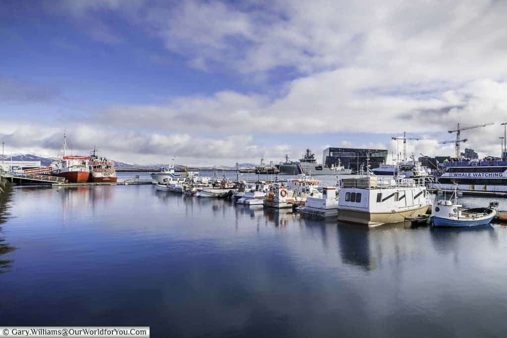 The habour in reykjavik with a mixture of boats, including whale watching ships