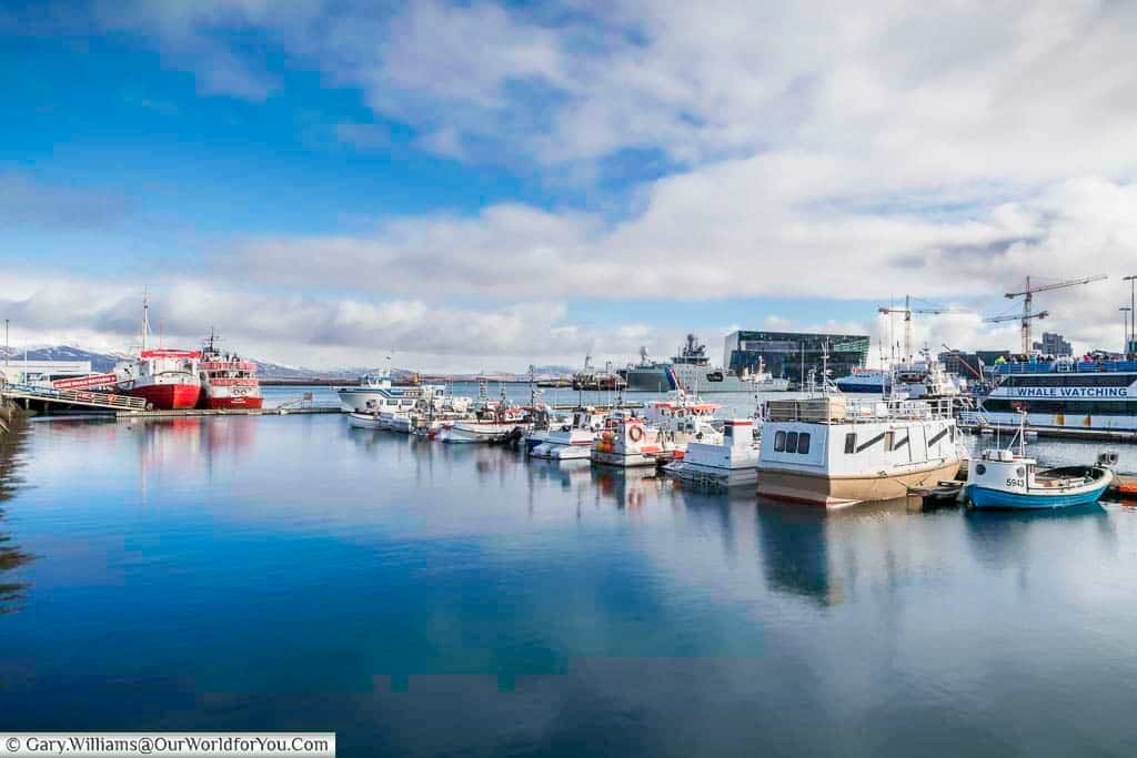 The habour in reykjavik with a mixture of boats, including whale watching ships