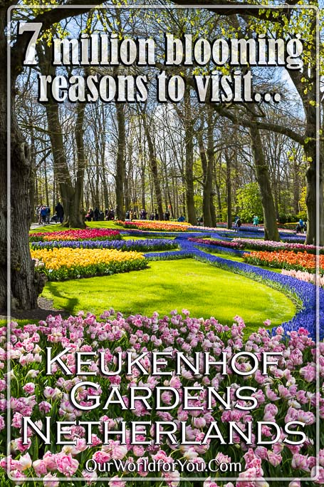 The pin image for our post - '7 Million Blooming Reasons to Visit Keukenhof, Netherlands'