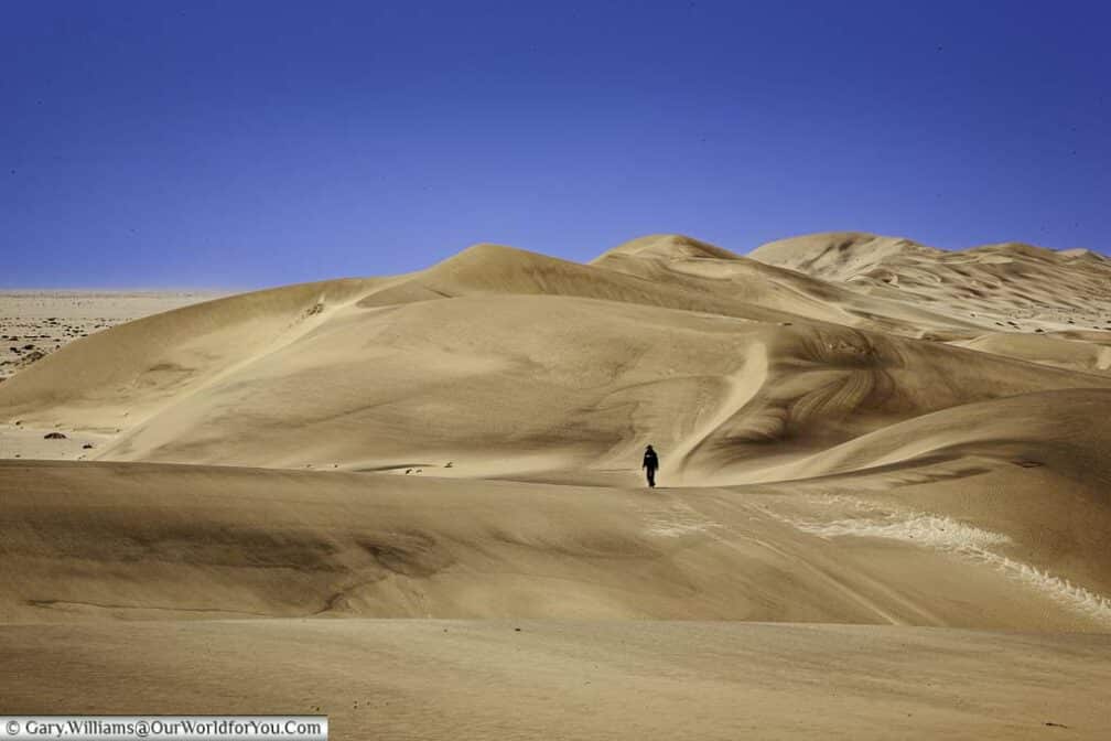 A lone figure wandering amount the sand dunes of Walvis Bay, outside, Swakopmund, Namibia