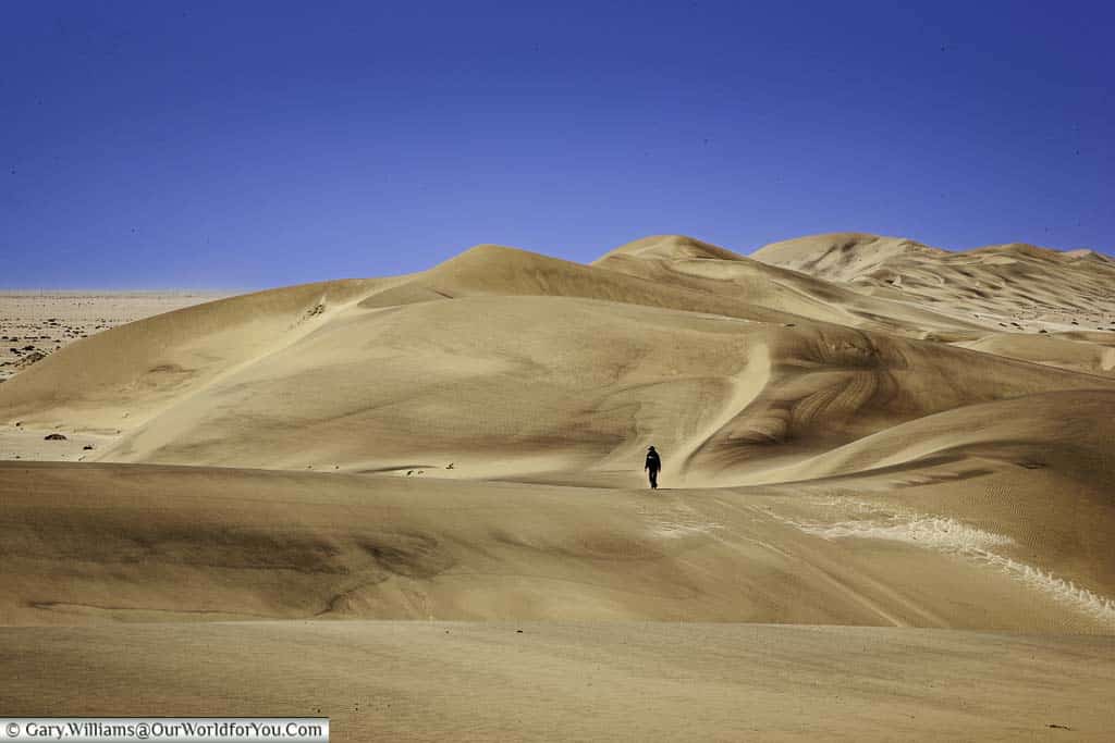 Chris Nel reflects amongst the dunes, Living Desert Adventures, Walvis Bay, Swakopmund, Namibia