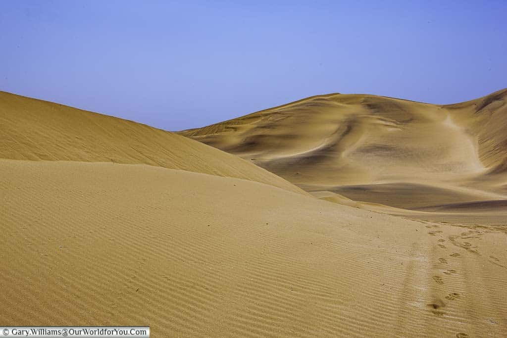 Tracks through the beautiful dunes of Walvis Bay just outside Swakopmund, Namibia