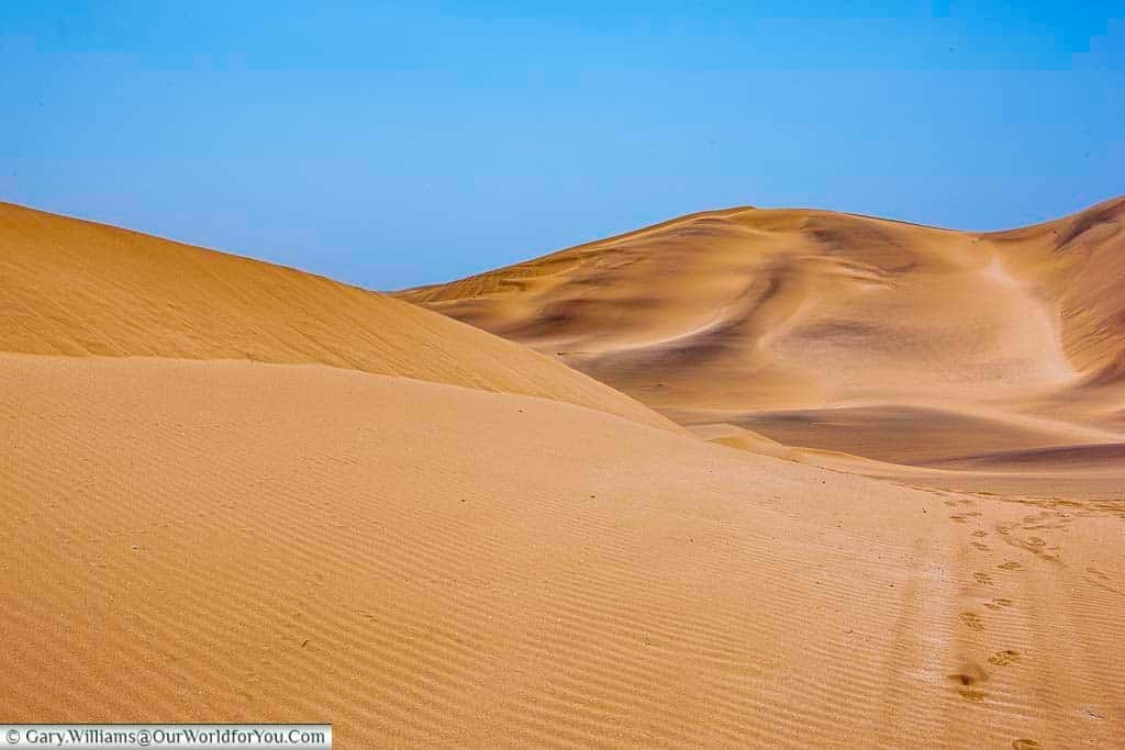 Chris Nel reflects amonst the dunes, Living Desert Adventures, Walvis Bay, Swakopmund, Namibia