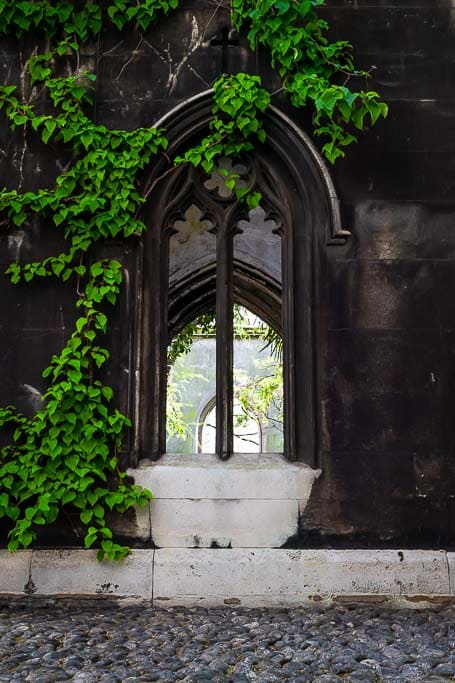 Ivy growing around the window of the ruined church of St Dunstan-in-the-East Church near to Tower Hill tube