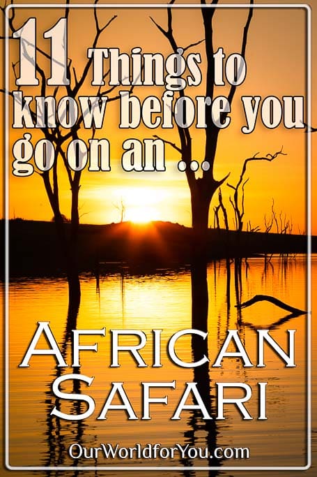The Pin image of our post - 'An African safari, 11 things to know, before you go'