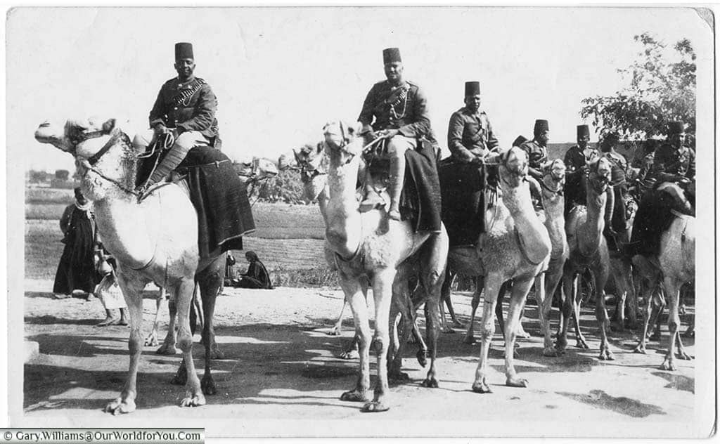 A group of Egyptian police on camelback, taken in Cairo during World War II.