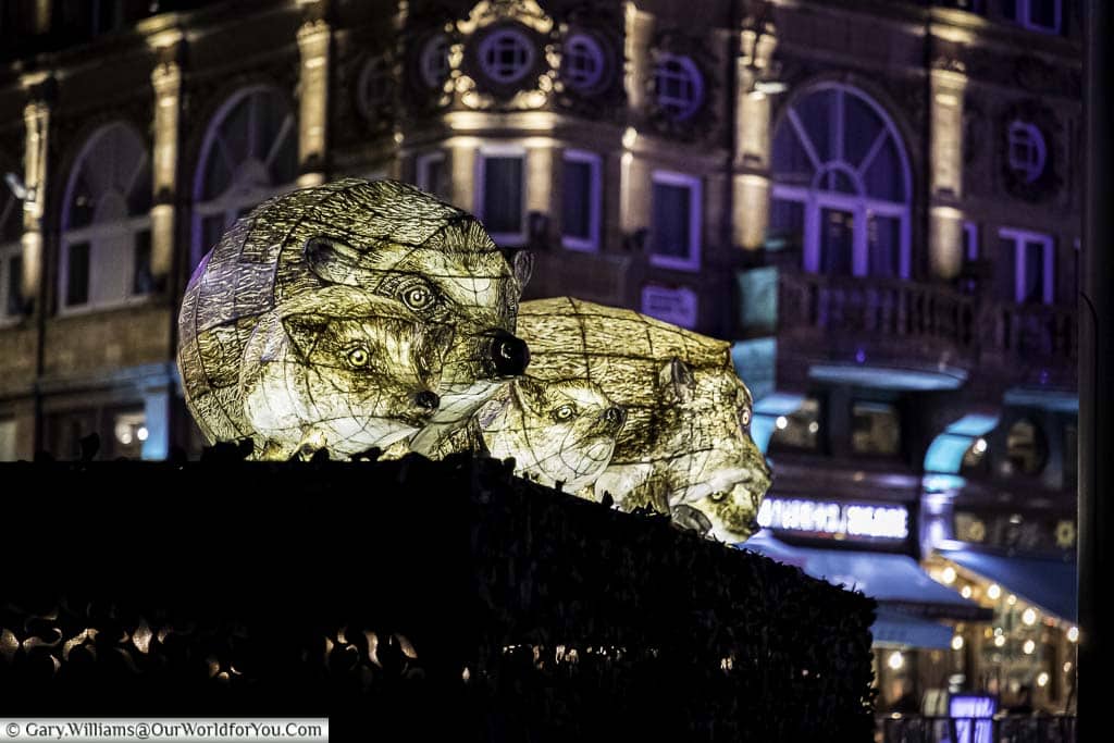 An illuminated hedgehog family as part of the Lumiere London art project in London during the winter of 2018