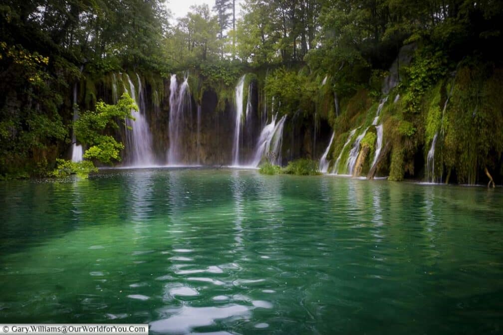 An opal green pool fed my many small waterfalls flowing through lush green vegetation in the plitvice lakes national park in croatia