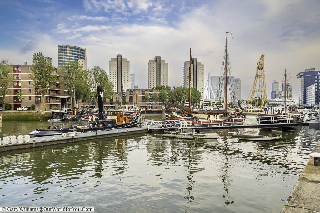 Boats moored up in the modern Leuvehaven harbour in rotterdam against a backdrop of skyscrapers