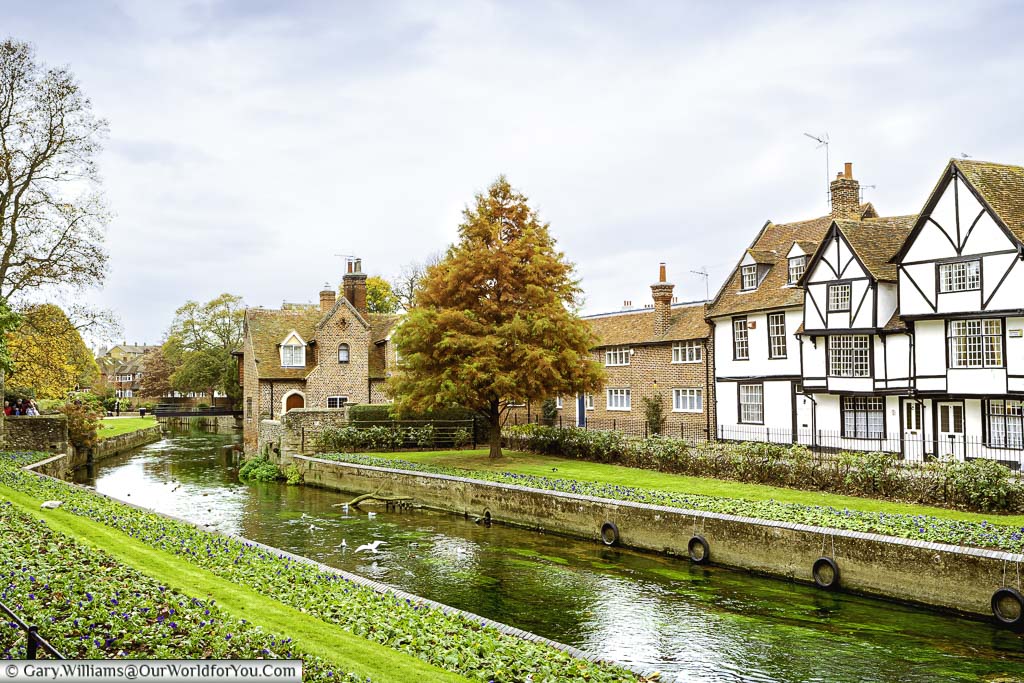Tudor homes at the edge of the Great Stour River in Westgate Gardens, Canterbury, Kent.