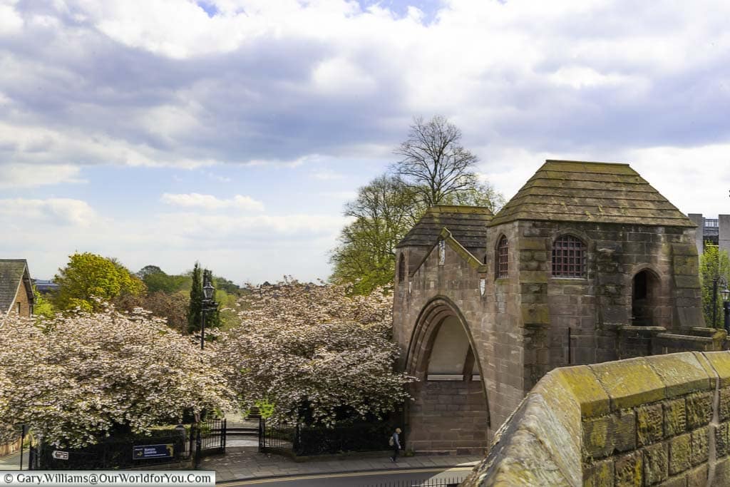 The newgate in chester, part of the city walls, in mid-spring with the trees in full blossom