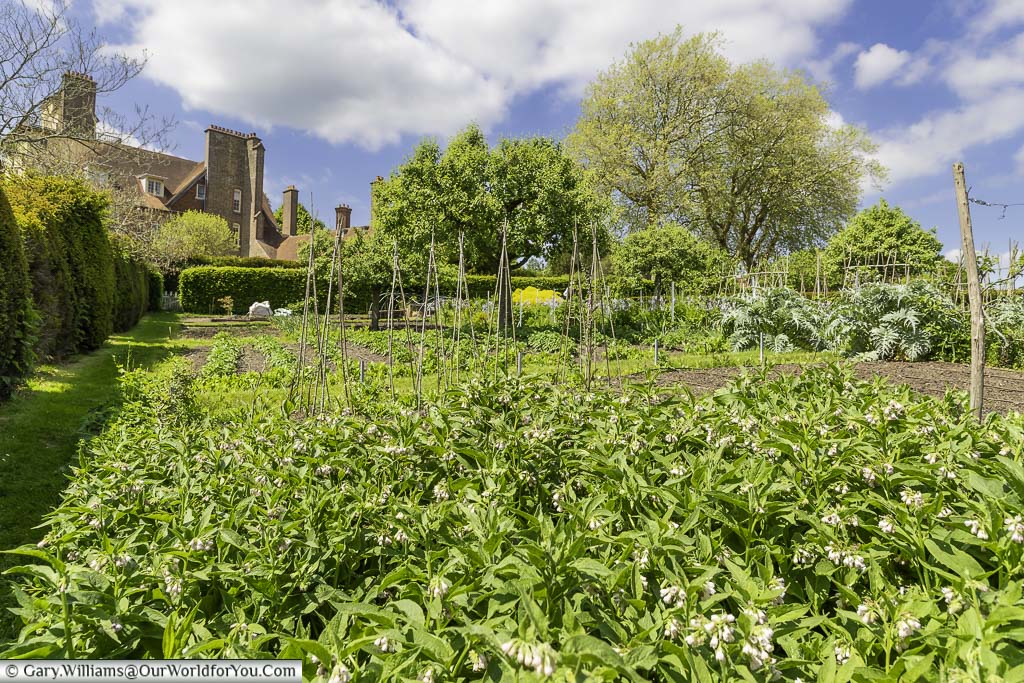 A view of the corner of the traditionally planted kitchen garden with standen house in the background