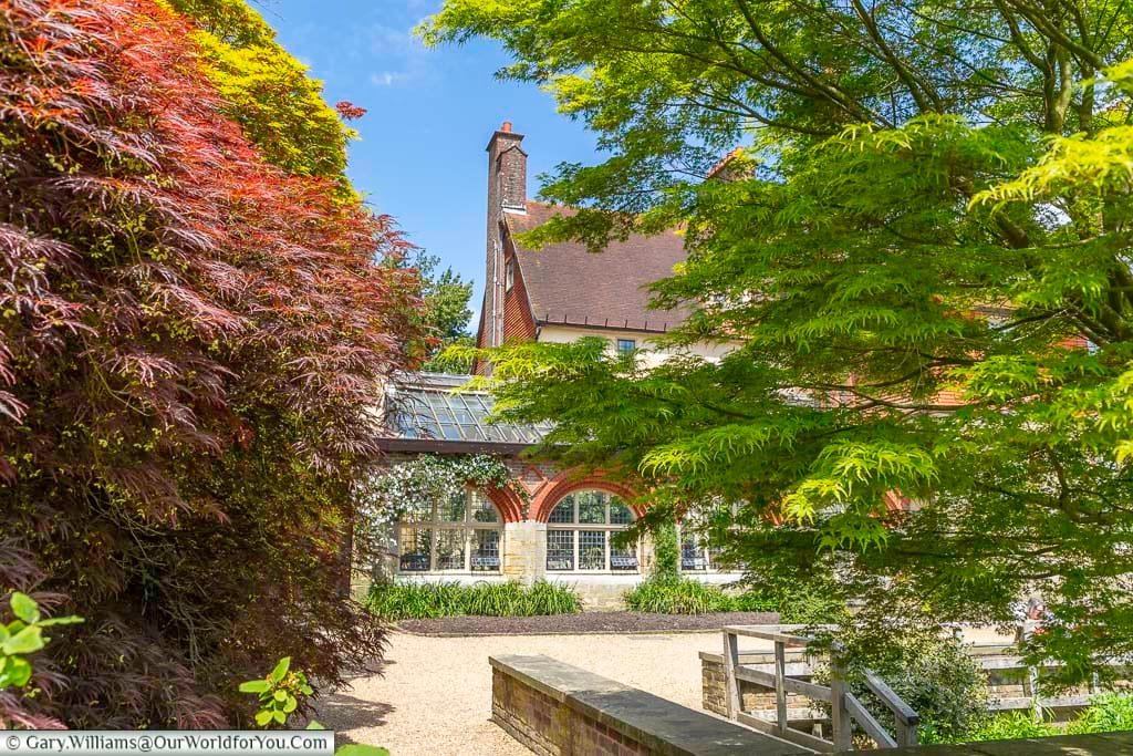 A glimpse past the ruby red and acid green acers with a view of the conservatory of standen house in the background