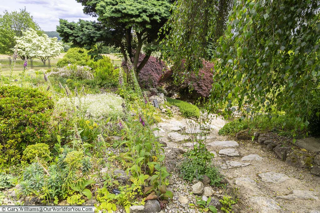 A rustic stone pathway through Emmetts Alpine and Rock Garden, weaves it's way between the planting.