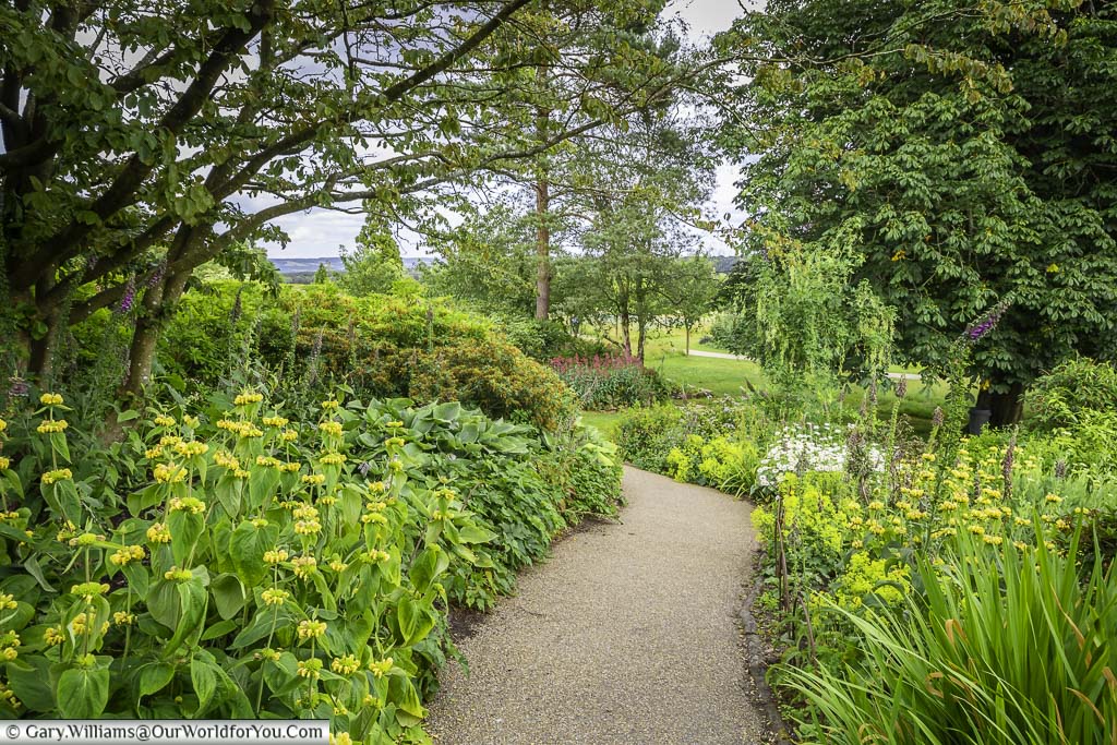 A meandering path through the north garden at emmets gardens in kent